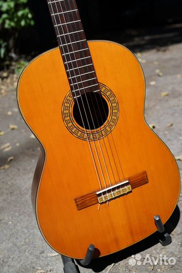 Гитара suzuki (Japan)