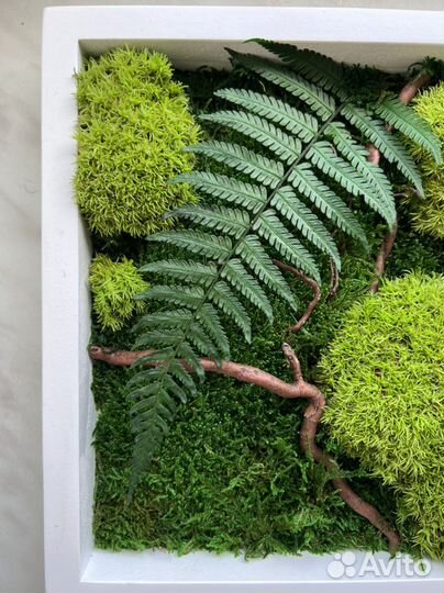 Панно из стабилизированного мха