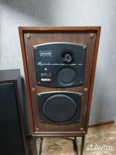 Колонки Корвет 35ас 208