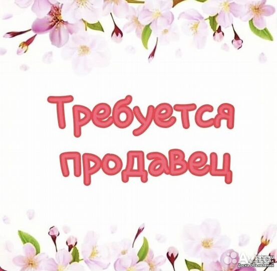 Продавец консультант