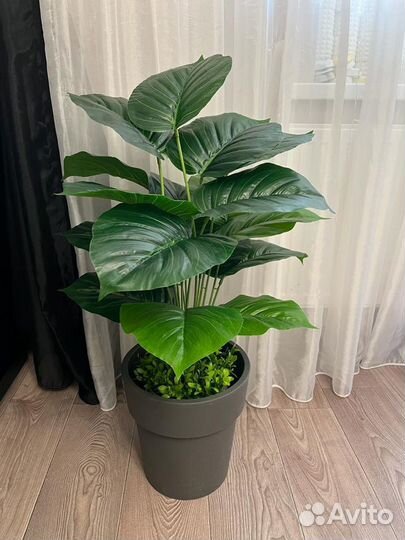 Искусственные растения,декор,интерьер для дома