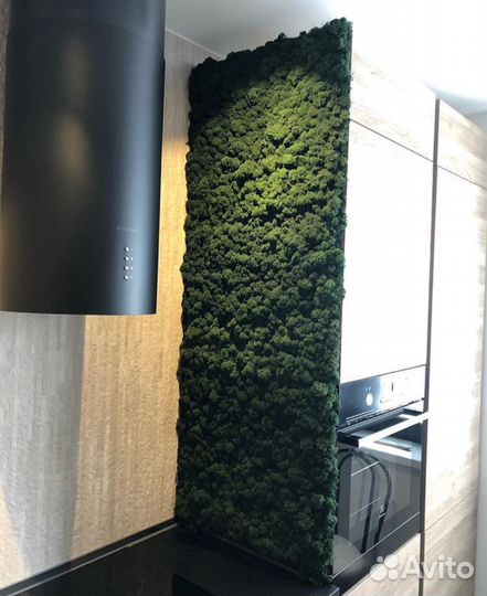 Фитостена из мха на кухню