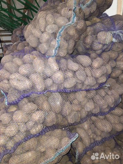 Продам картофель некондиция