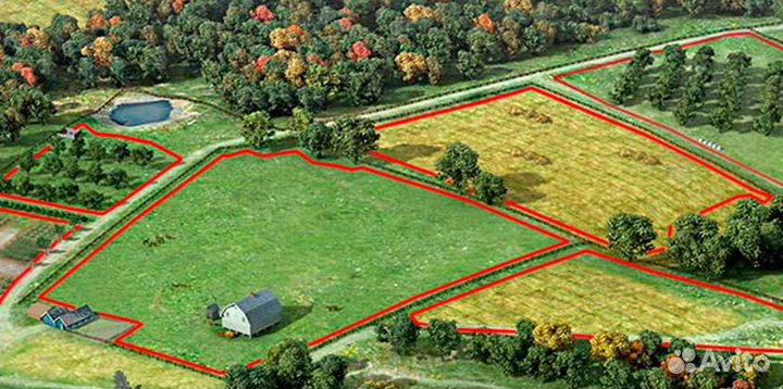 Вынос границ земельного участка в натуру Геодезист