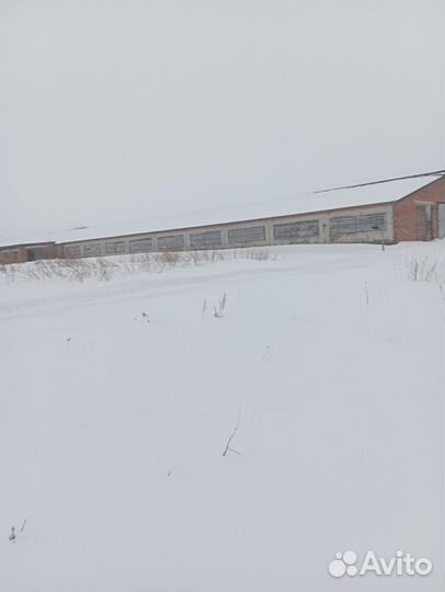 Ферма и земли под фермерское хозяйство