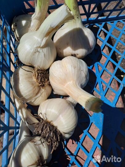 Продукты питания