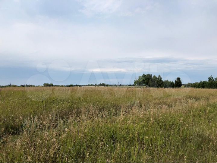 Участок 16 га (промназначения)