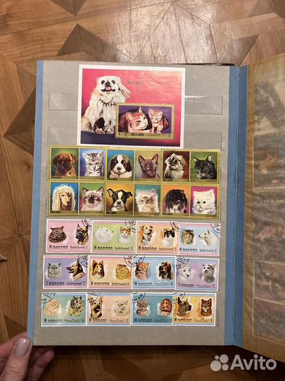 Альбомы с марками животные