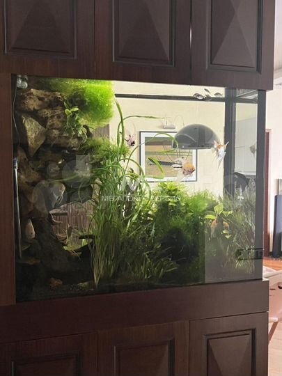 3-к. квартира, 97 м², 15/16 эт.