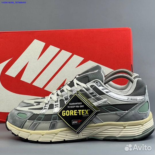 Кроссовки Nike P-6000 Gore-Tex (термо) (Арт.67100)