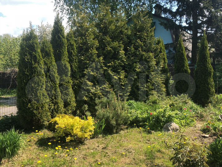 Участок 8 сот. (СНТ, ДНП)