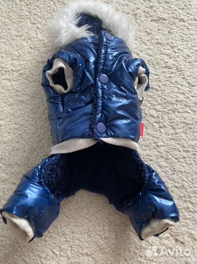 Комбинезон для маленькой собаки зима теплый синий