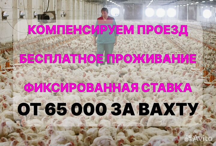 Вахта оператор компенсация проезда