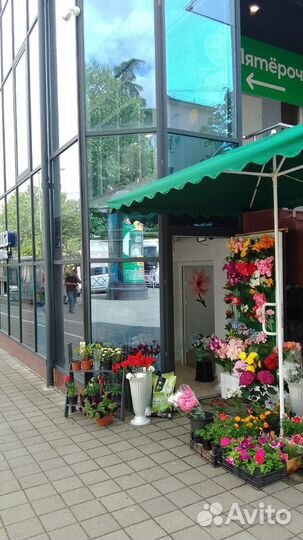 Продажа цветочного магазина в г. Сочи