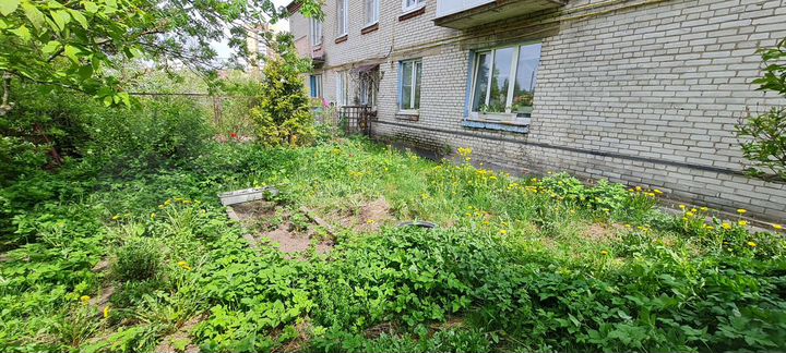 2-к. квартира, 43,1 м², 1/2 эт.