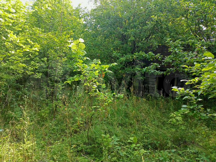 Участок 12 сот. (ИЖС)