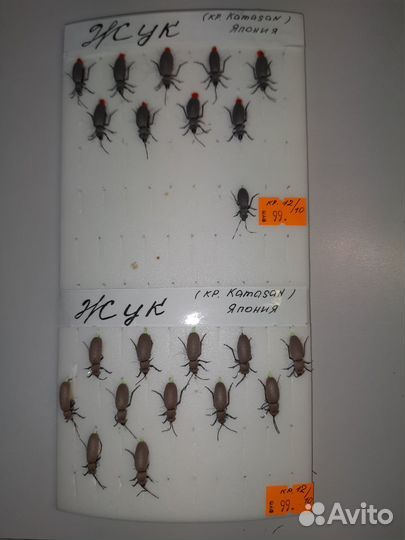 Нахлыстовая муха «Жук»