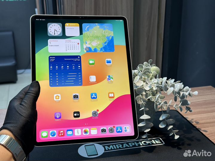 iPad pro 12.9 2020 256gb