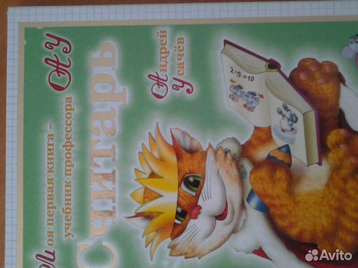 Книга юных считаводов всех времён и всех народов