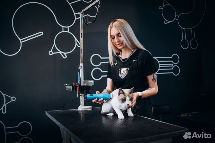 Франшиза груминг салон. Готовый бизнес