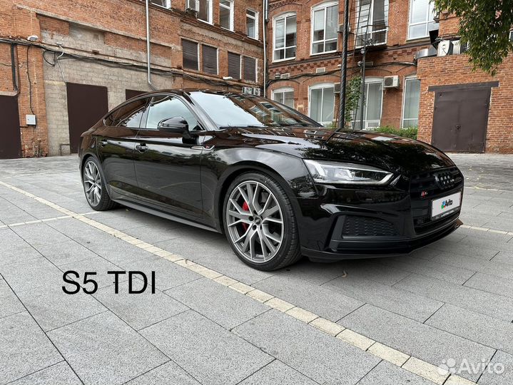 Audi S5 3.0 AT, 2019, 60 600 км