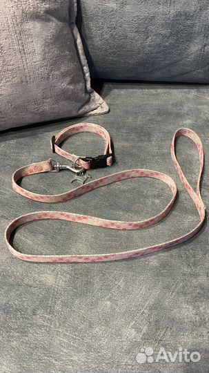 Ошейник с поводком