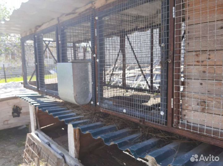 Крольчатник с родильней