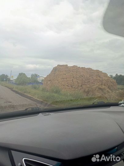 Сено в квадратных тюках