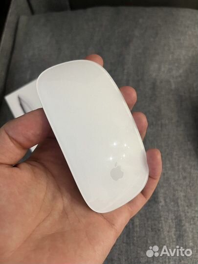 Apple magic mouse 2