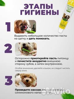 Зубная паста и щетки для Собак и Кошек Набор 3+1