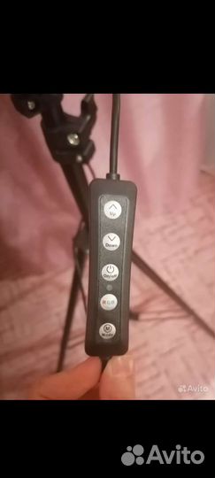 Аренда Кольцевая лампа на штативе