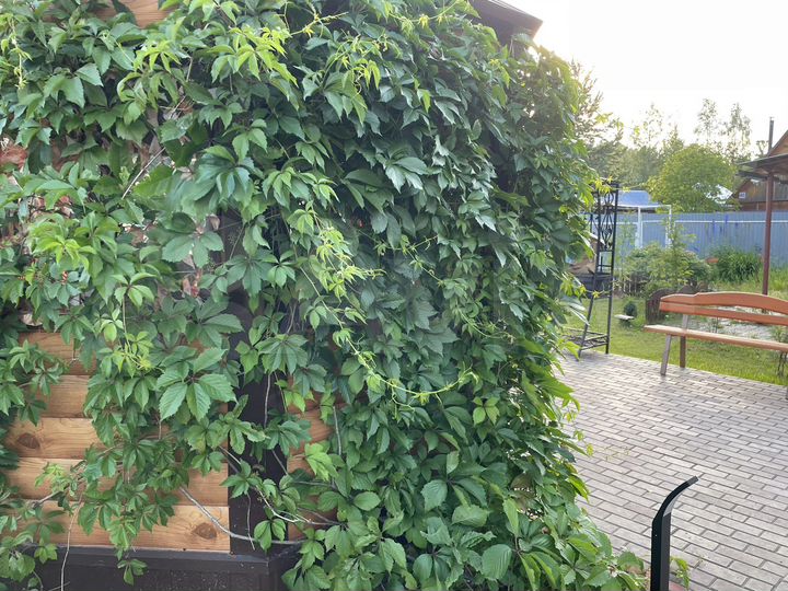 Дом 120 м² на участке 14 сот.