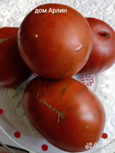 Семена томатов