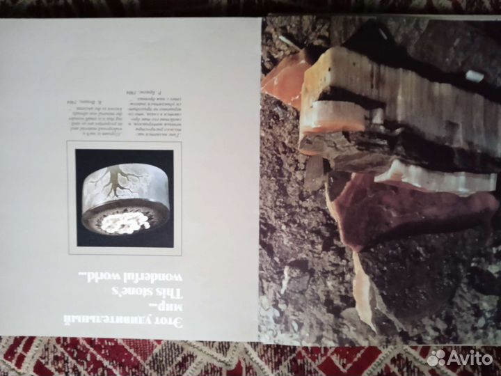 Книга Селенит