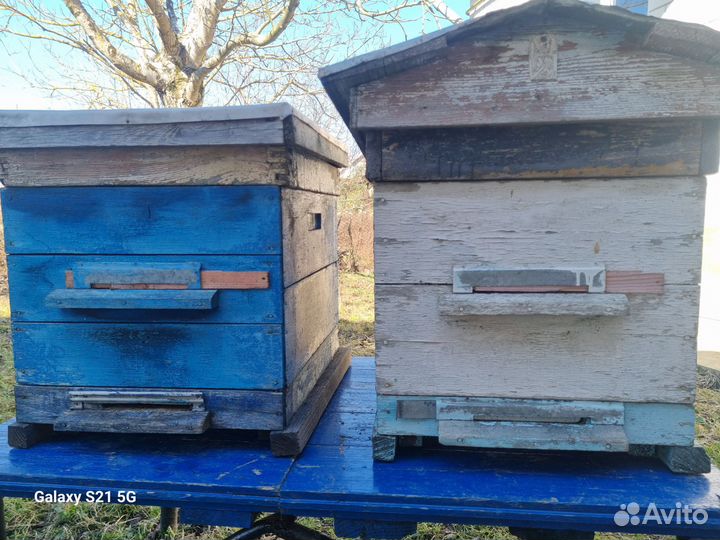 Ульи для пчел