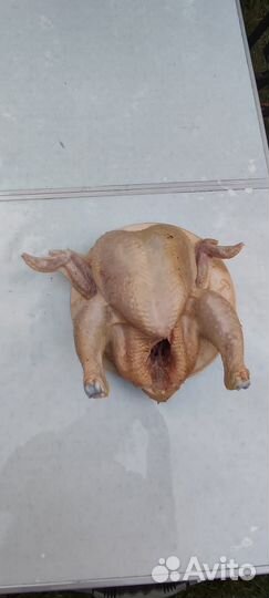 Мясо деревенских кур бройлеров