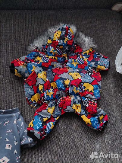 Одежда для маленьких пород собак