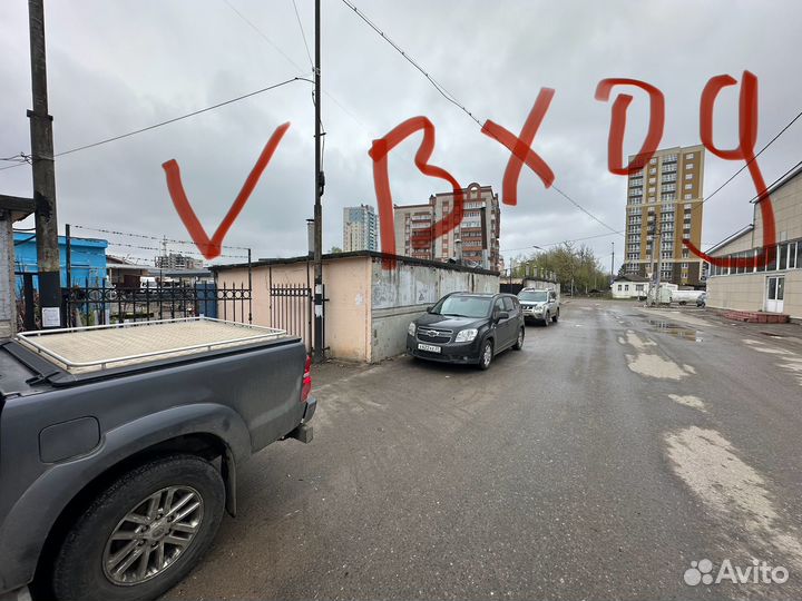 Саженцы и декорация