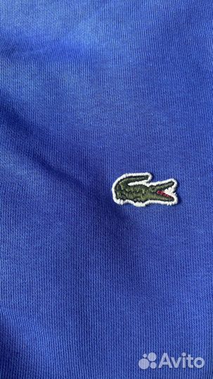 Свитшот мужской lacoste размер М