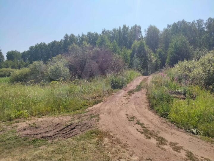 Участок 1,27 га (СНТ, ДНП)