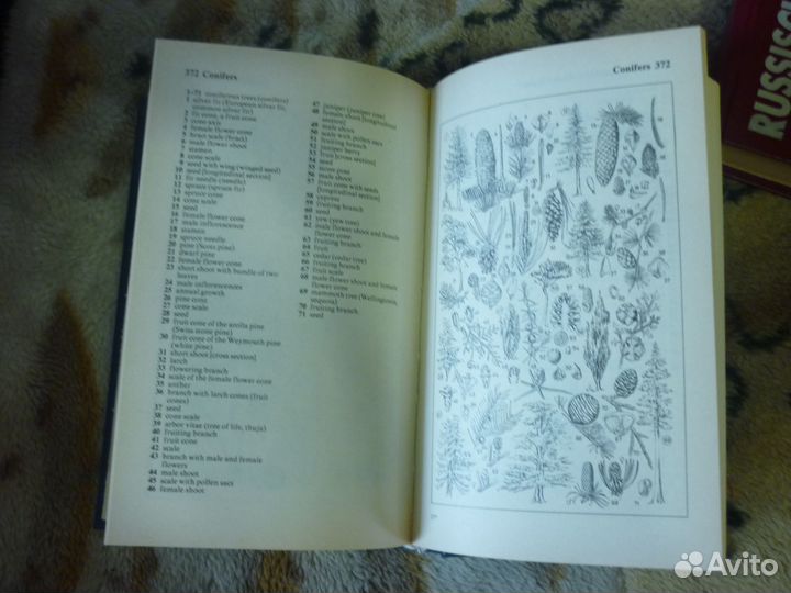 Словари