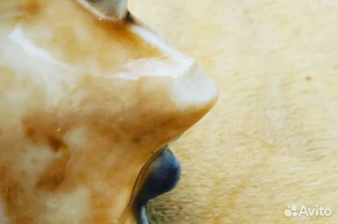 Набор черепах Англия