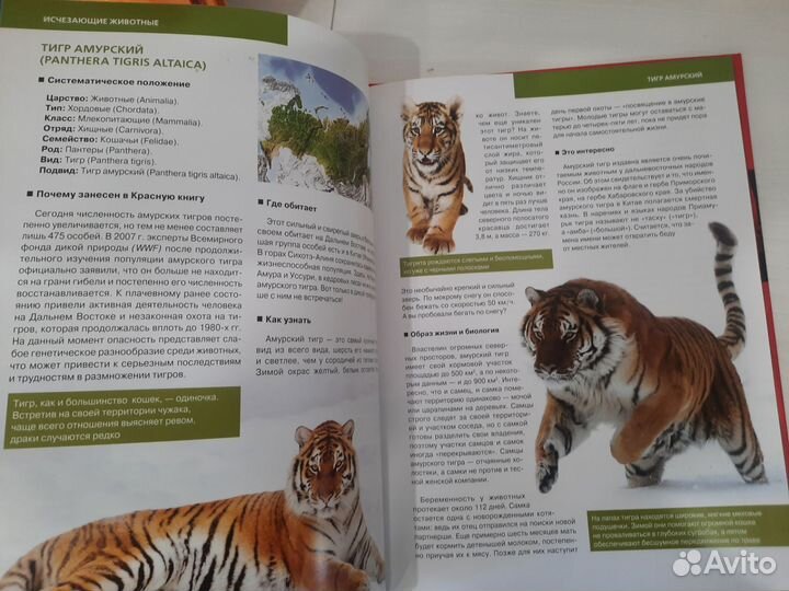 Энциклопедия Красная книга живонтых мира