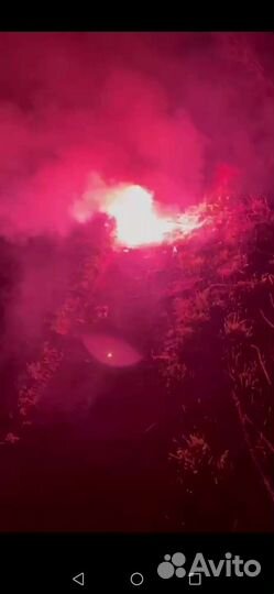 Фальшфейер Япония от медведя у петровского