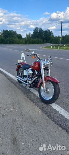Harley davidson fat boy