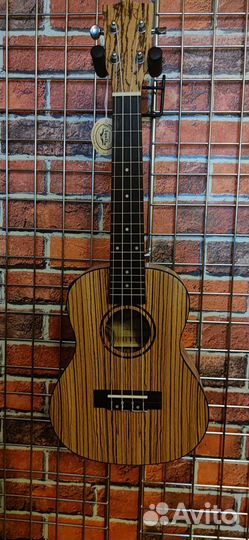 Укулеле концерт с подключением