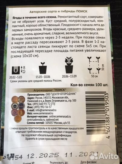 Рассада земляники ремонтантной