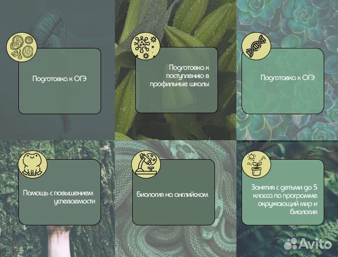 Репетитор по биологии огэ егэ успеваемость