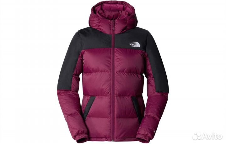 THE north face Apparel Collection Down Jacket Women's Purple (S)(87)