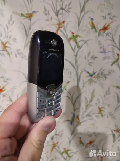 Motorola C650